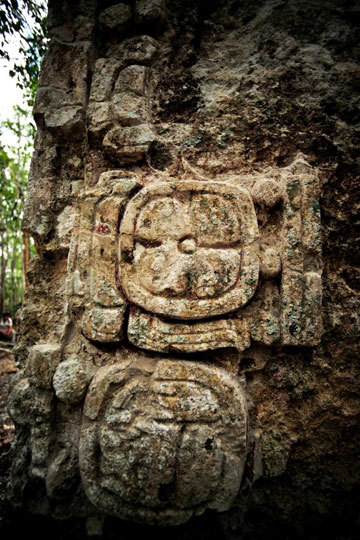 Illustration for article titled Enormous, ancient Maya city found in Yucatán jungle